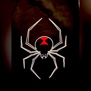 Large Vintage Rare Too Loud Black Widow Logo Men's Lounge Pants